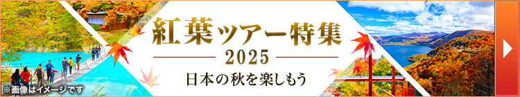 紅葉ツアー特集