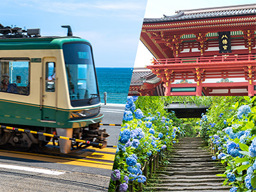 鎌倉旅行・観光ツアー特集 旅行・ツアー