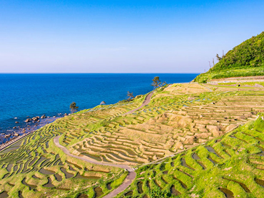 能登半島特集 旅行・ツアー