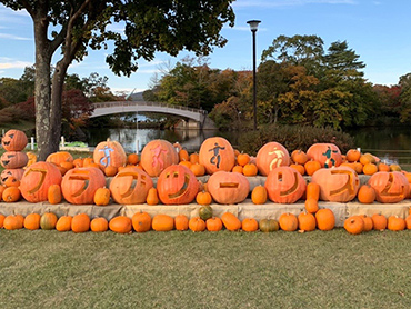 大沼公園紅葉ライトアップと秋のハロウィンナイト 旅行・ツアー