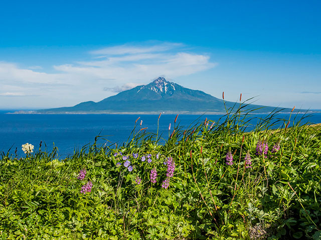 利尻島・礼文島特集 旅行・ツアー