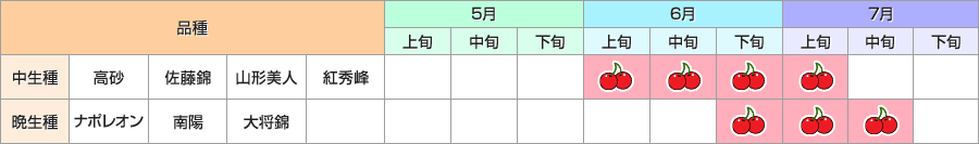 圖片僅供參考