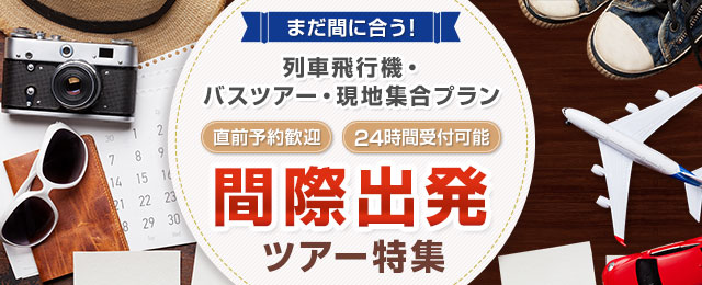 【之前可預約】 之前出發的旅遊團・旅行