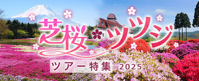 苔蘚福祿考/杜鵑花之旅遊/旅行2025