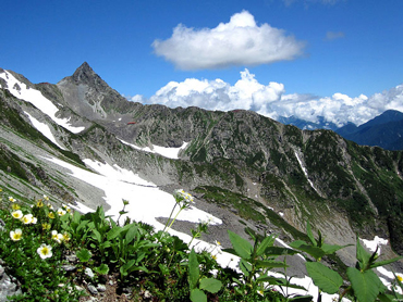 日本百名山登山特集 旅行・ツアー