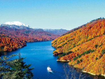 紅葉ツアー特集｜おひとり参加限定の旅 旅行・ツアー