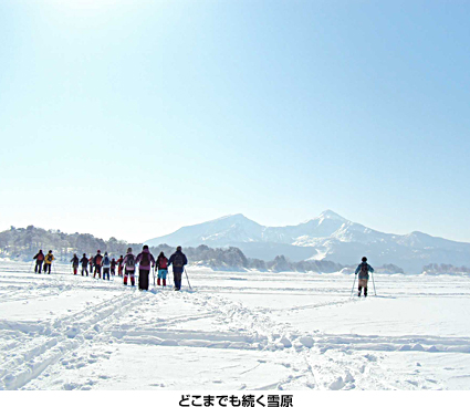 どこまでも続く雪原